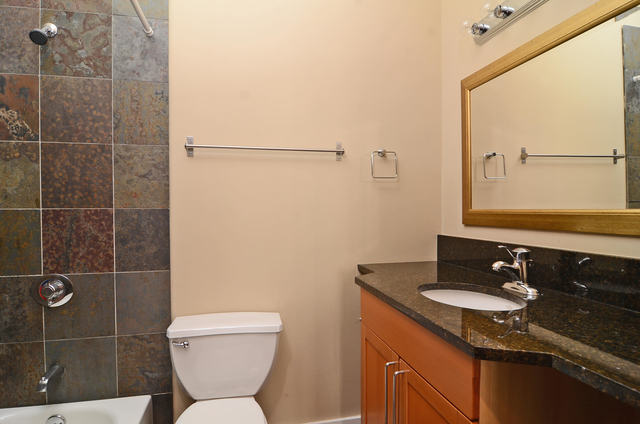 1885 N Winnebago Avenue #2W Chicago, Illinois 60647 - Image 10