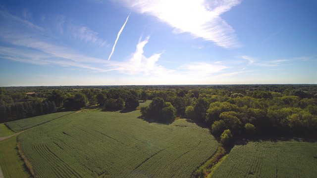 25448 N Gilmer Road Hawthorn Woods, Illinois 60047 - Image 1