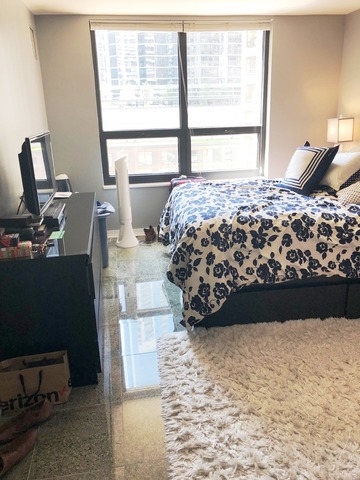 401 E Ontario Street #804 Chicago, Illinois 60611 - Image 14