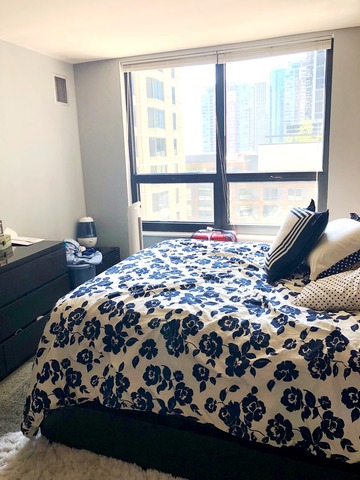 401 E Ontario Street #804 Chicago, Illinois 60611 - Image 15