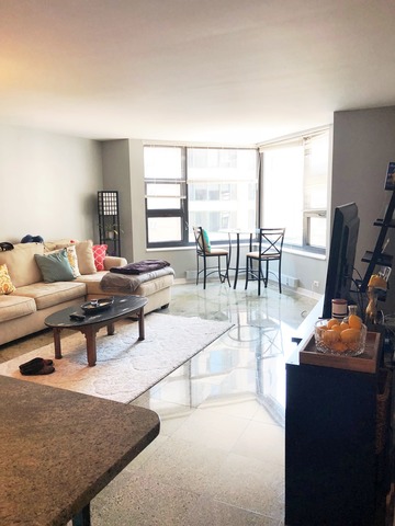 401 E Ontario Street #804 Chicago, Illinois 60611 - Image 3
