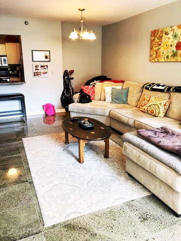 401 E Ontario Street #804 Chicago, Illinois 60611 - Image 4
