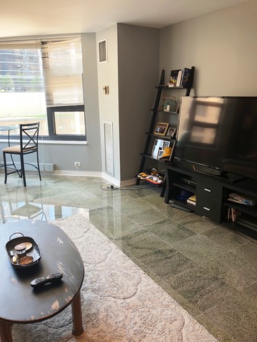 401 E Ontario Street #804 Chicago, Illinois 60611 - Image 5