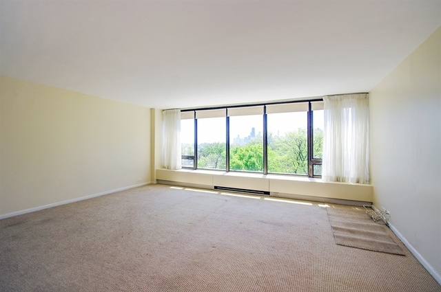 2800 N Lake Shore Drive #506 Chicago, Illinois 60657 - Image 3