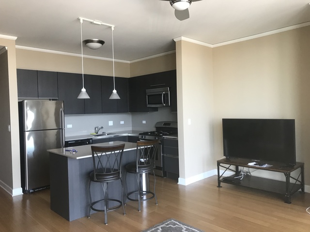 225 N Columbus Drive #5507 Chicago, Illinois 60601 - Image 6