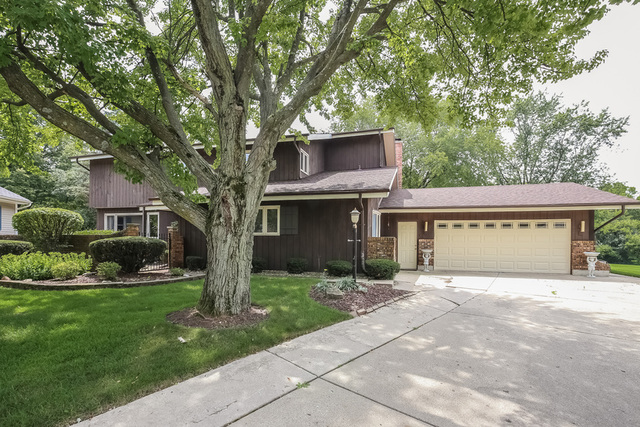3636 Quince Court Downers Grove, Illinois 60515 - Image 1