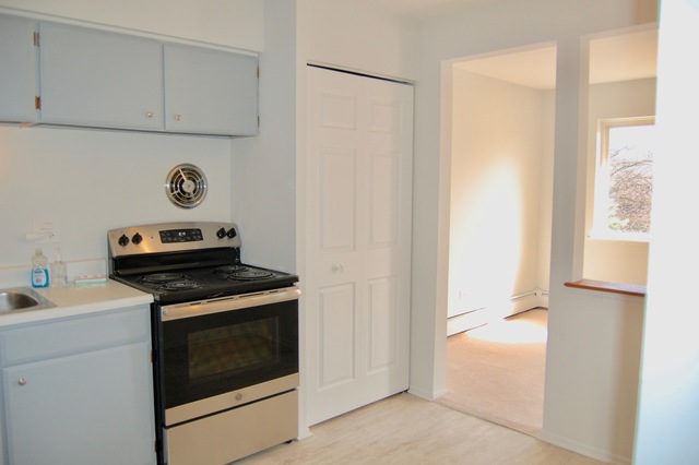 2411 E Olive Street #2C Arlington Heights, Illinois 60004 - Image 2