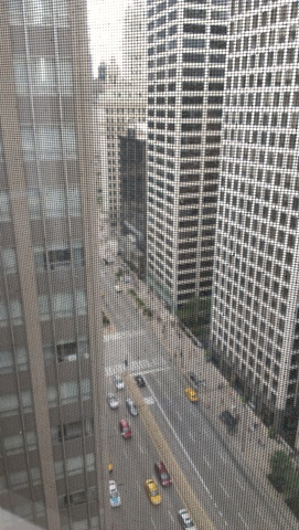 535 N Michigan Avenue #2401 Chicago, Illinois 60611 - Image 8
