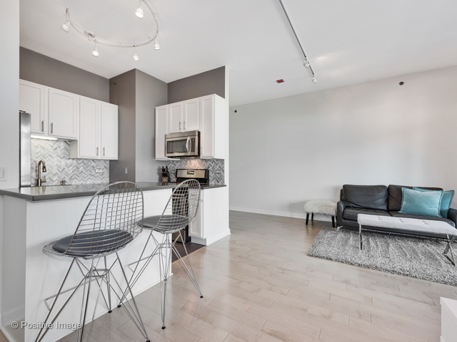 340 W Superior Street #1012 Chicago, Illinois 60654 - Image 8