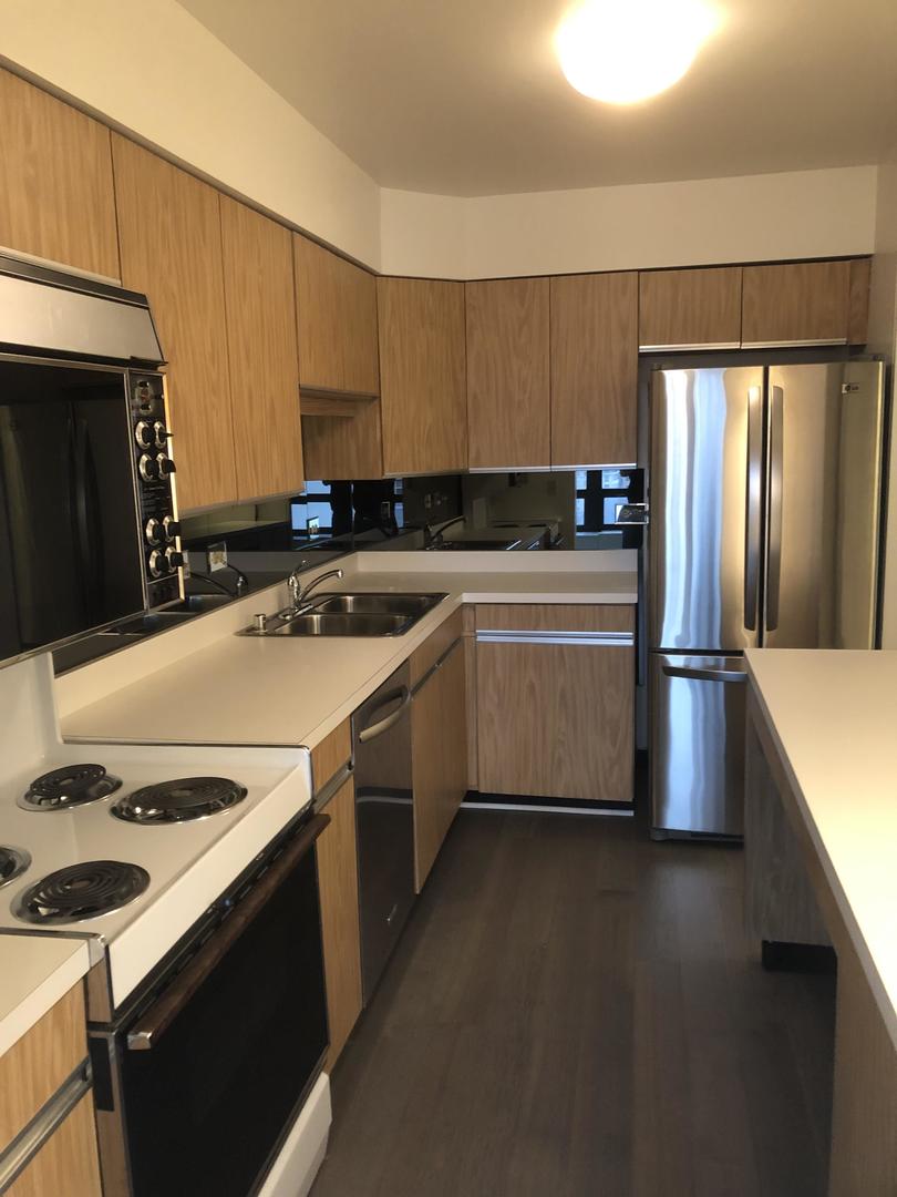 50 E Bellevue Place #1306 Chicago, Illinois 60611 - Image 2
