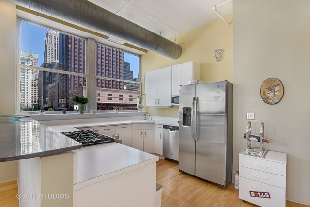 161 W Harrison Street #301 Chicago, Illinois 60605 - Image 3