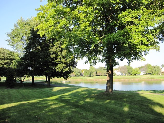 324 N Satinwood Court #324 Buffalo Grove, Illinois 60089 - Image 10