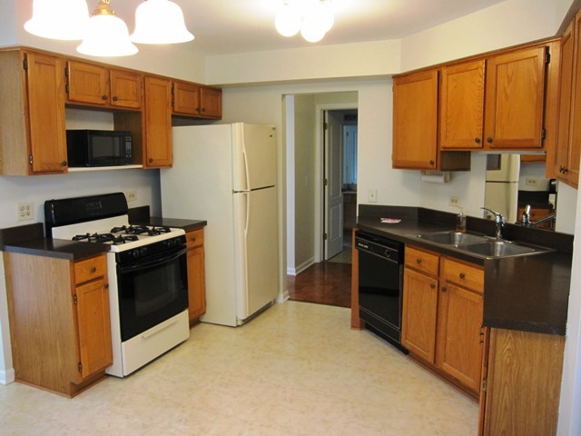 324 N Satinwood Court #324 Buffalo Grove, Illinois 60089 - Image 19