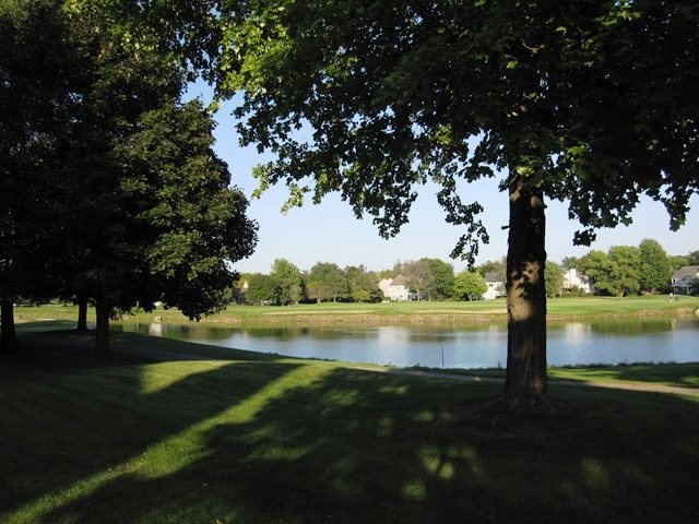 324 N Satinwood Court #324 Buffalo Grove, Illinois 60089 - Image 8