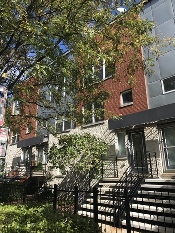 1821 N Rockwell Street Chicago, Illinois 60647 - Image 18