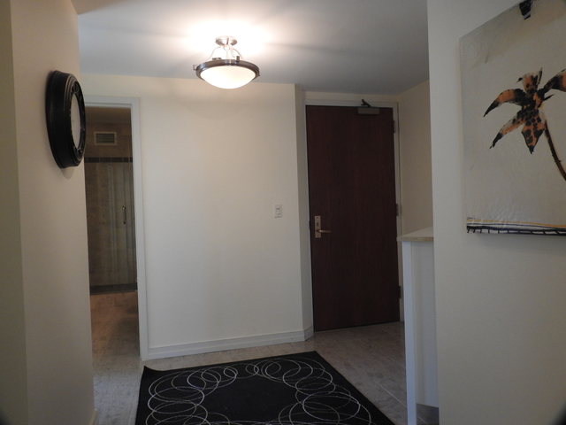 401 E Ontario Street #3502 Chicago, Illinois 60611 - Image 2