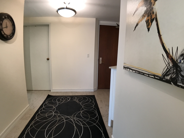 401 E Ontario Street #3502 Chicago, Illinois 60611 - Image 26