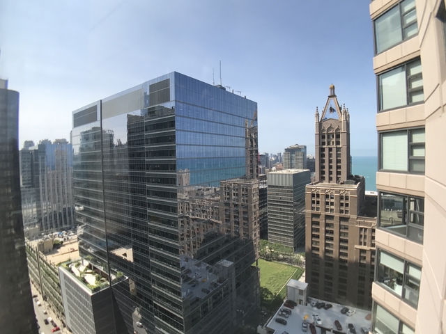 401 E Ontario Street #3502 Chicago, Illinois 60611 - Image 40