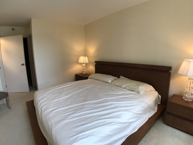 401 E Ontario Street #3502 Chicago, Illinois 60611 - Image 46