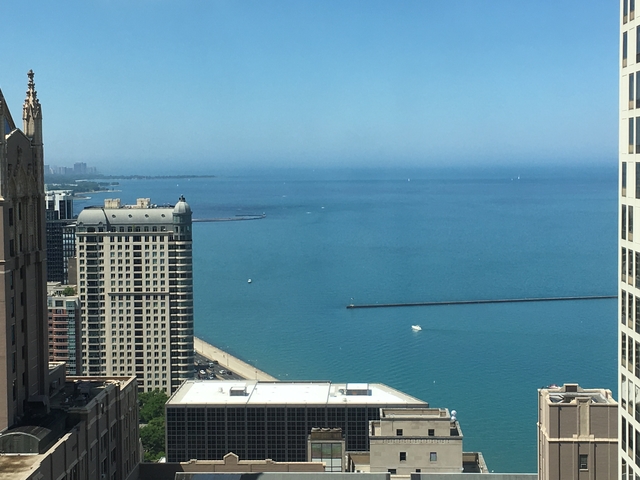 401 E Ontario Street #3502 Chicago, Illinois 60611 - Image 65