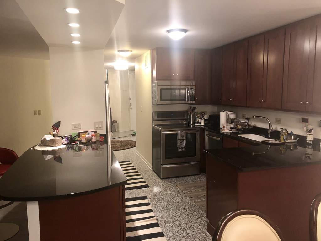 505 N Lake Shore Drive #4405 Chicago, Illinois 60611 - Image 6
