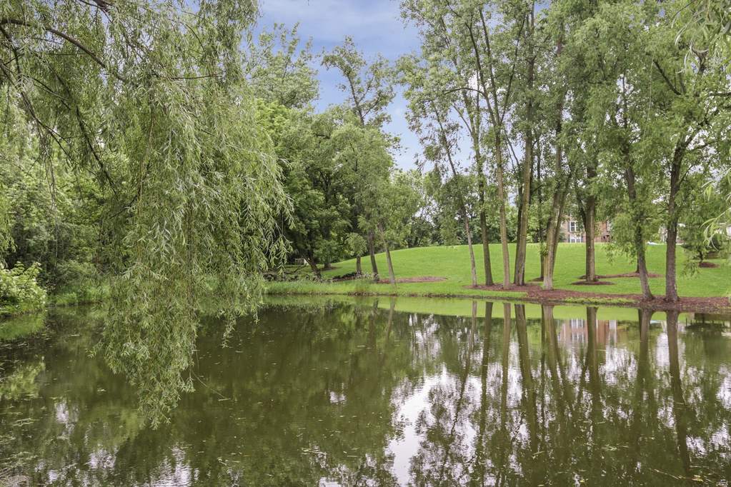 25130 N Cayuga Trail Lake Barrington, Illinois 60010 - Image 33