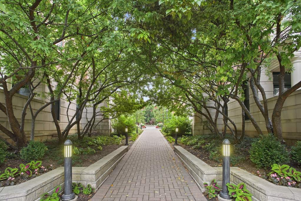 446 N Canal Street Chicago, Illinois 60654 - Image 39
