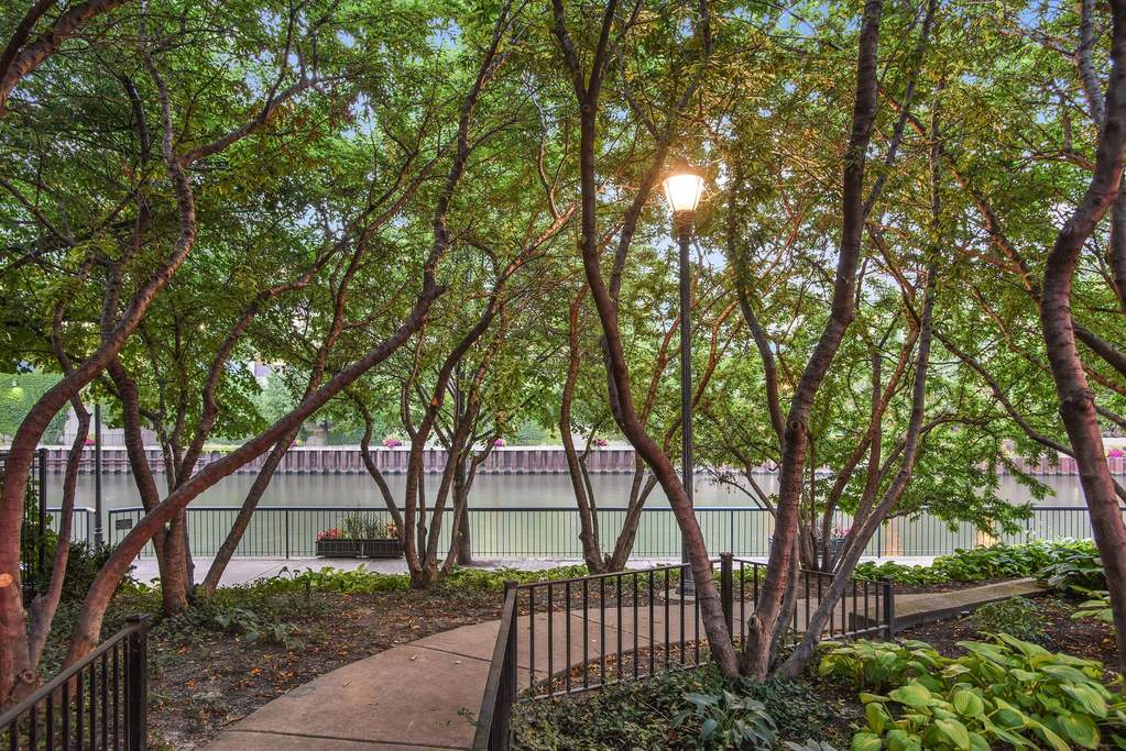 446 N Canal Street Chicago, Illinois 60654 - Image 42