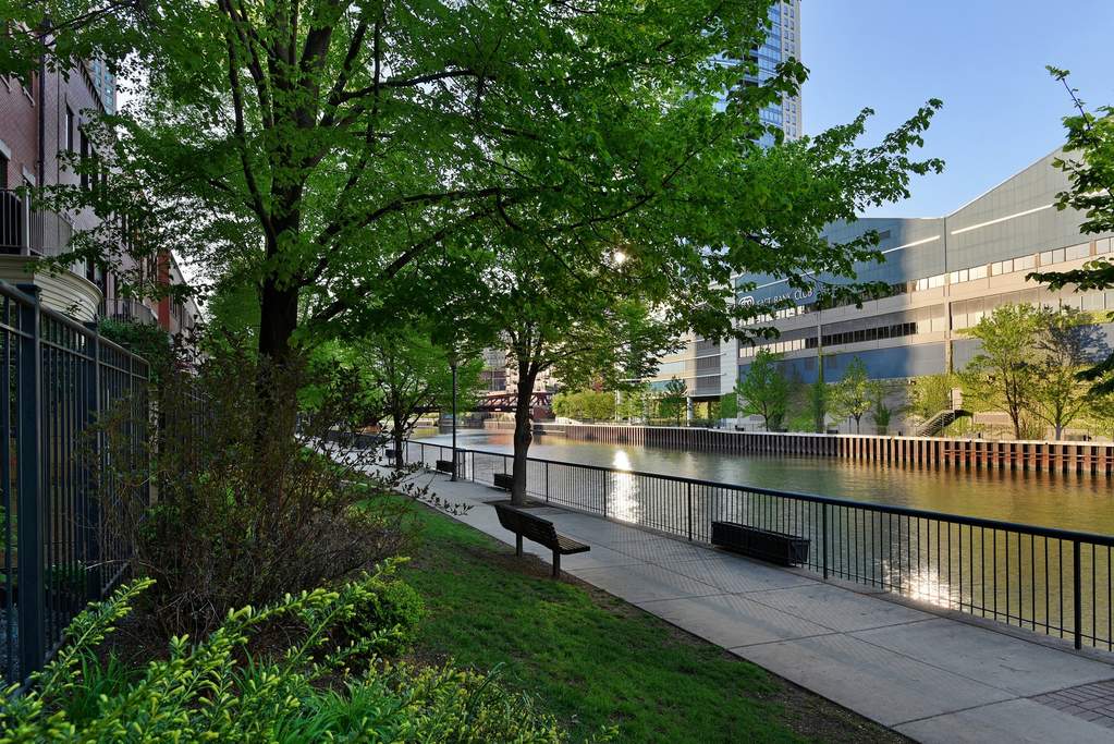 446 N Canal Street Chicago, Illinois 60654 - Image 48