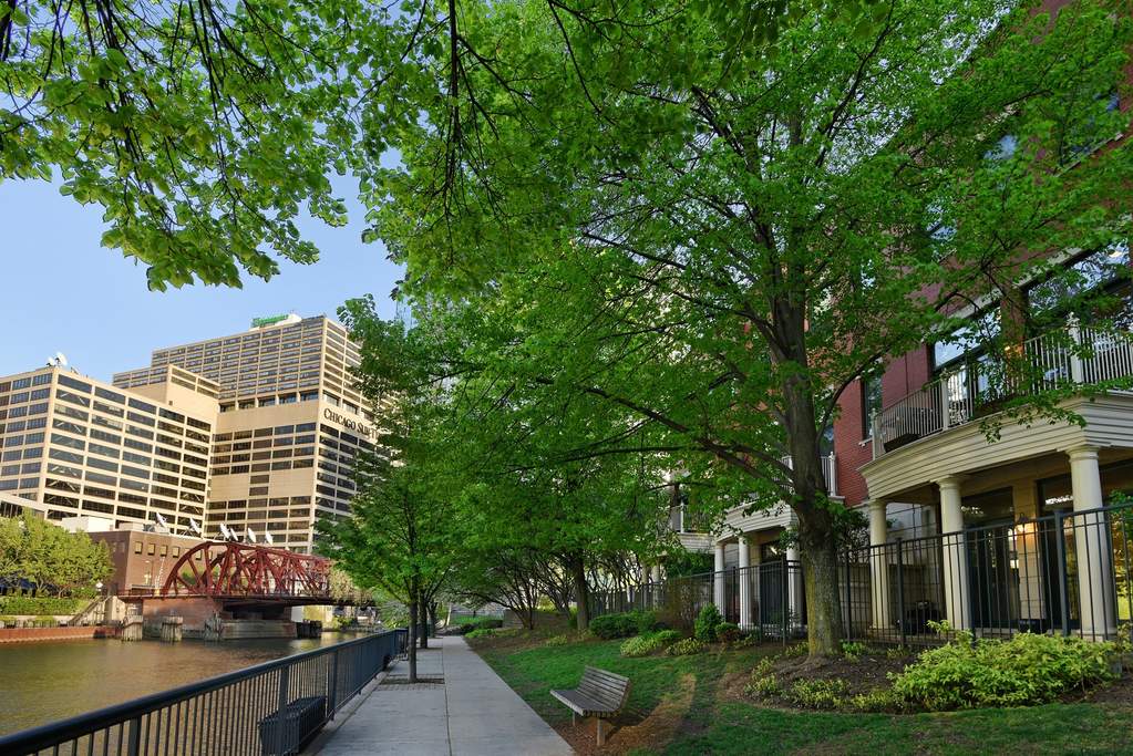 446 N Canal Street Chicago, Illinois 60654 - Image 49