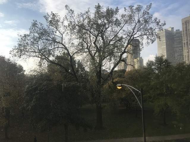 2800 N Lake Shore Drive #312 Chicago, Illinois 60657 - Image 11