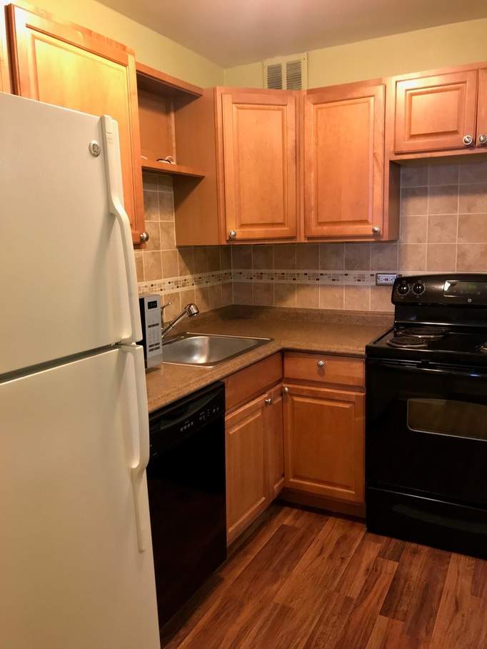 2650 N Lakeview Avenue #1403 Chicago, Illinois 60614 - Updated Appliances & Cabinetry