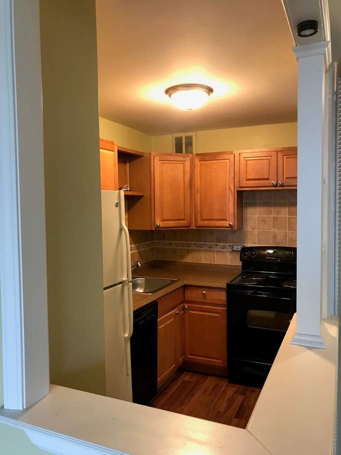 2650 N Lakeview Avenue #1403 Chicago, Illinois 60614 - Kitchen