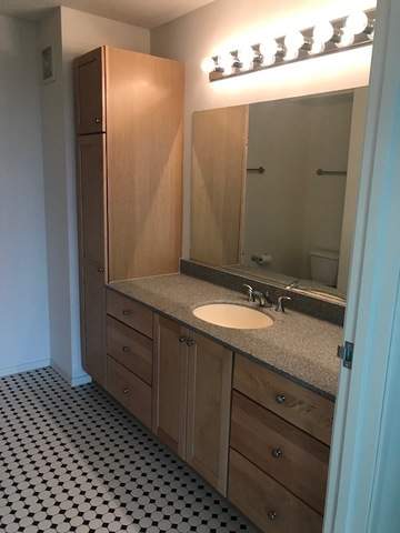 9655 Woods Drive #1206 Skokie, Illinois 60077 - Guest bath located directly across the hall from guest bedroom