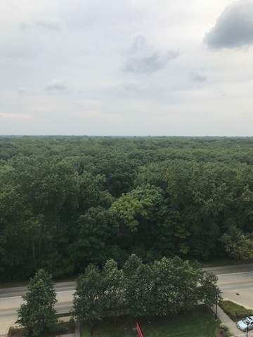 9655 Woods Drive #1206 Skokie, Illinois 60077 - Image 14