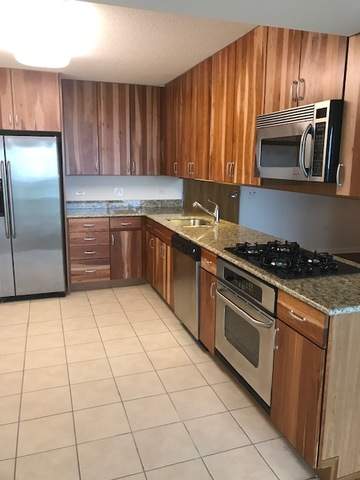 9655 Woods Drive #1206 Skokie, Illinois 60077 - Chef's kitchen with gas range and all stainless appliances