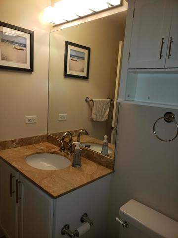 210 S Des Plaines Street #306 Chicago, Illinois 60661 - Image 12