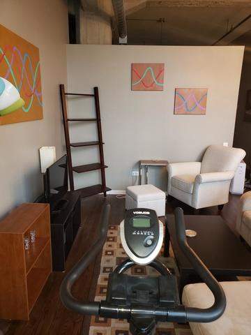 210 S Des Plaines Street #306 Chicago, Illinois 60661 - Image 4