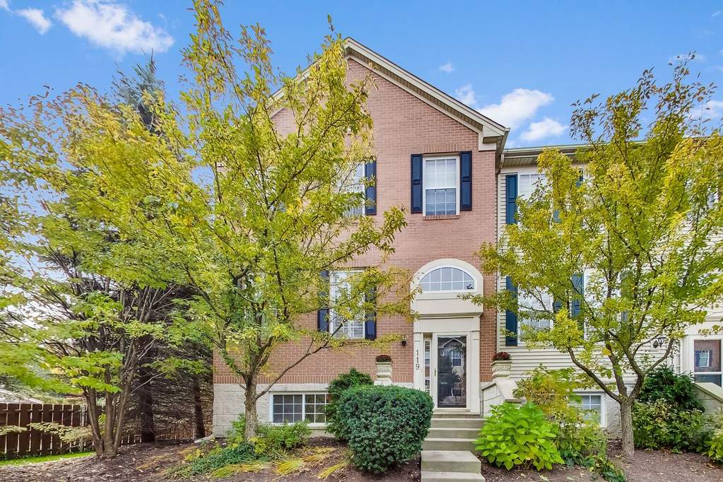 119 Patrick Avenue Willow Springs, IL 60480 MLS 10560478 properties