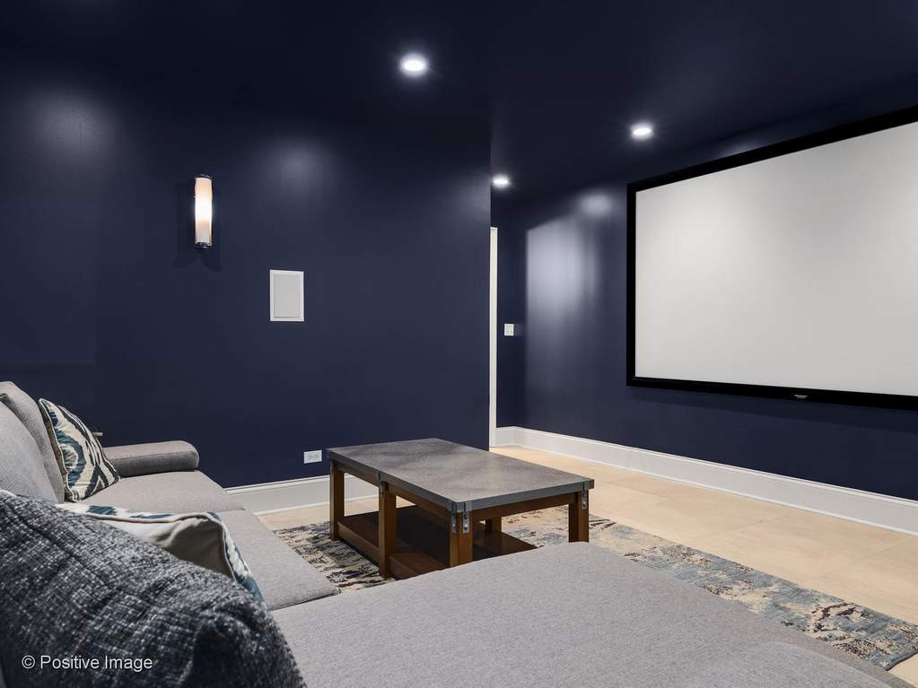 132 S Park Avenue Hinsdale, Illinois 60521 - Home Theater