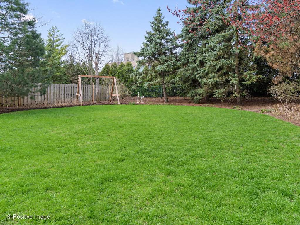 132 S Park Avenue Hinsdale, Illinois 60521 - Back Yard
