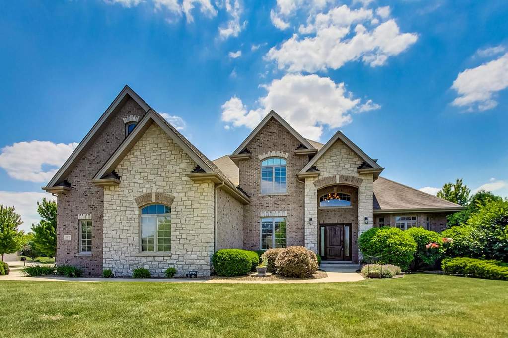 11039 Venezia Drive Frankfort, Illinois 60423 - Image 1