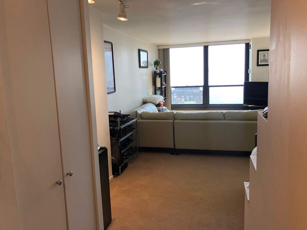 1030 N State Street #43F Chicago, Illinois 60610 - Image 6