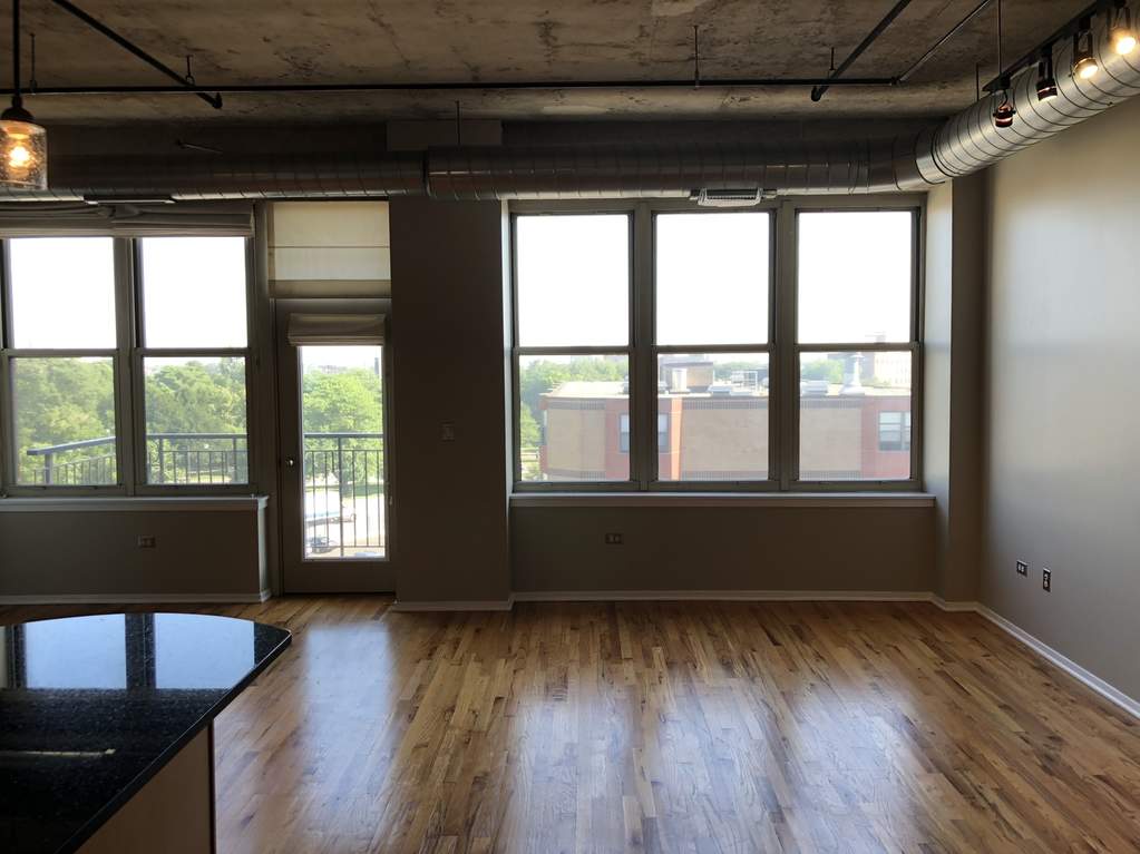 6 S Laflin Street #604 Chicago, Illinois 60607 - Image 3