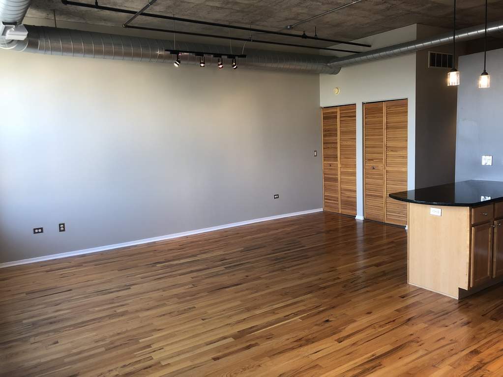 6 S Laflin Street #604 Chicago, Illinois 60607 - Image 4