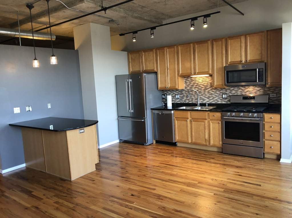 6 S Laflin Street #604 Chicago, Illinois 60607 - Image 5