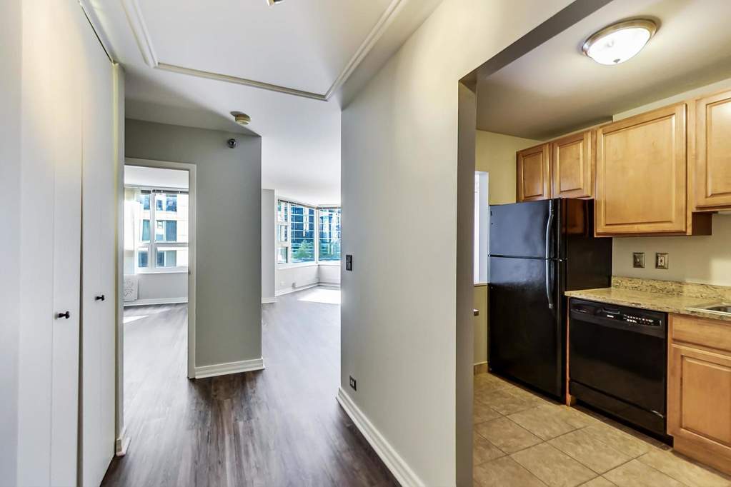 401 E Ontario Street #1108 Chicago, Illinois 60611 - Image 2