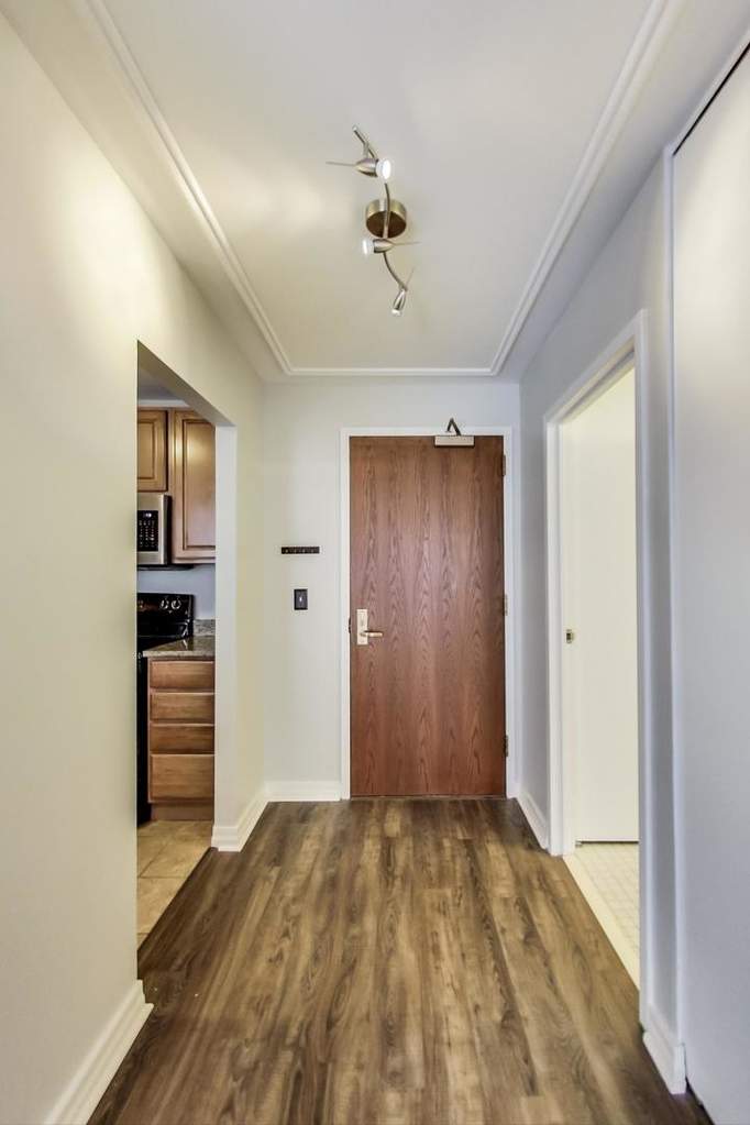401 E Ontario Street #1108 Chicago, Illinois 60611 - Image 3