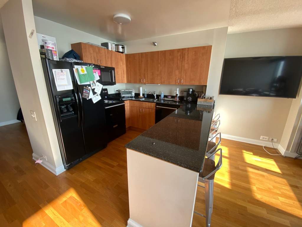 474 N Lake Shore Drive #3212 Chicago, Illinois 60611 - Image 3