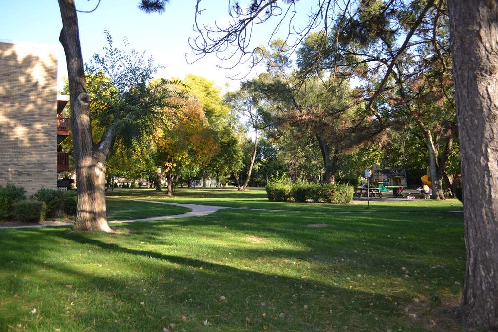 744 Dempster Street #B109 Mount Prospect, Illinois 60056 - Image 3